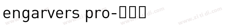engarvers pro字体转换